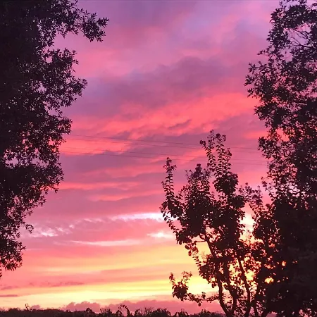 Il Podere Di Sole Farm stay *