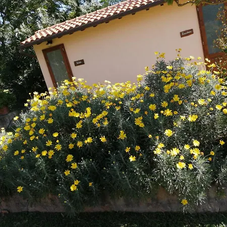 Il Podere Di Sole