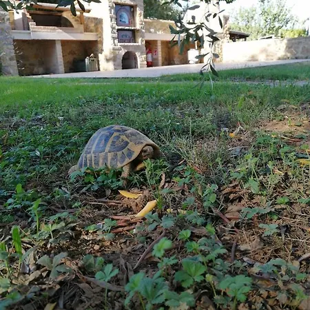 Il Podere Di Sole Farm stay