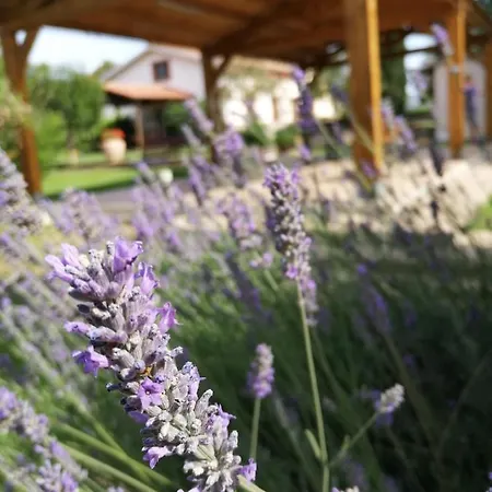 Il Podere Di Sole *