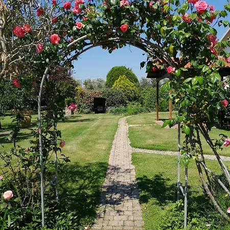 Il Podere Di Sole Farm stay