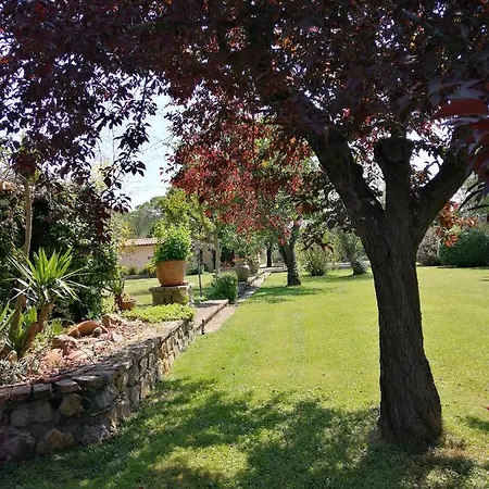 Il Podere Di Sole Farm stay Roccastrada
