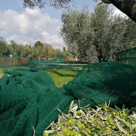 Il Podere Di Sole