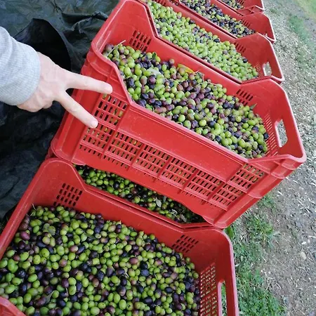 Il Podere Di Sole