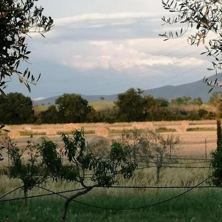 Farma Il Podere Di Sole Roccastrada