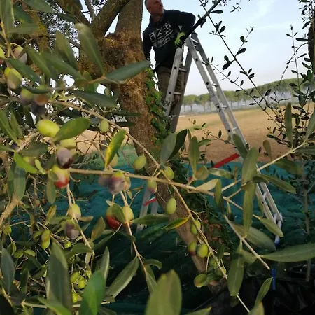 Alloggio per agriturismo Il Podere Di Sole Roccastrada