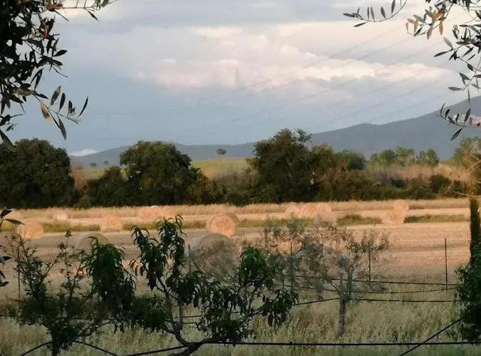 ファームステイ Il Podere Di Sole ロッカストラーダ